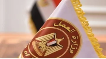 رواتب 11 ألف جنيه.. وزارة العمل تطرح 32 وظيفة جديدة بتخصصات متنوعة